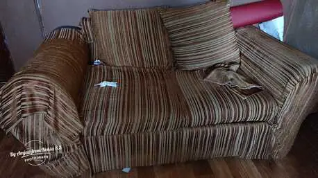 Sofa Set, Bread Toaster, Sandwich Maker, Television, Fully Automatic Washing Machine